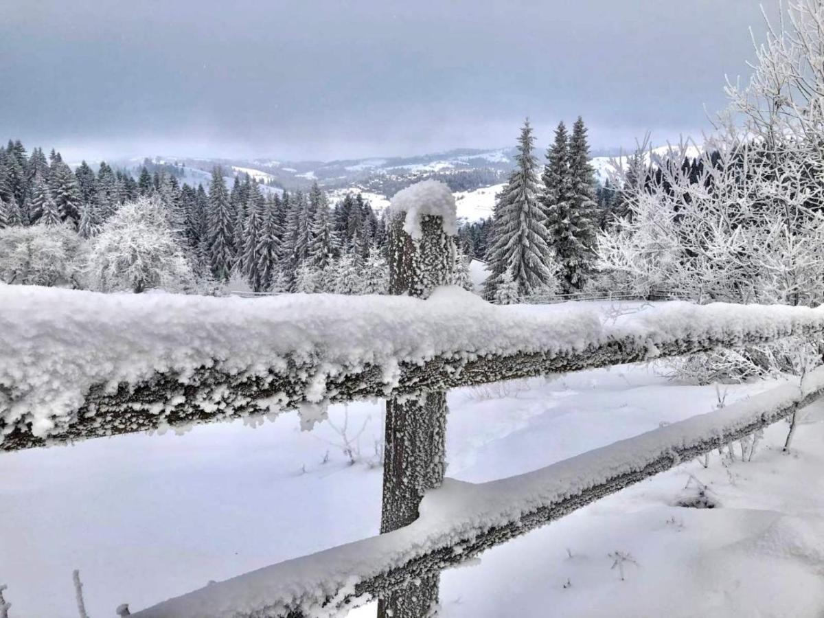 Villa Filiak Jablunytsja Exteriör bild