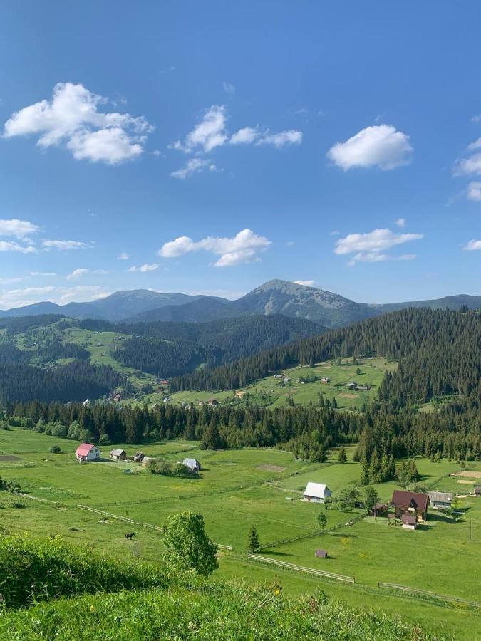 Villa Filiak Jablunytsja Rum bild