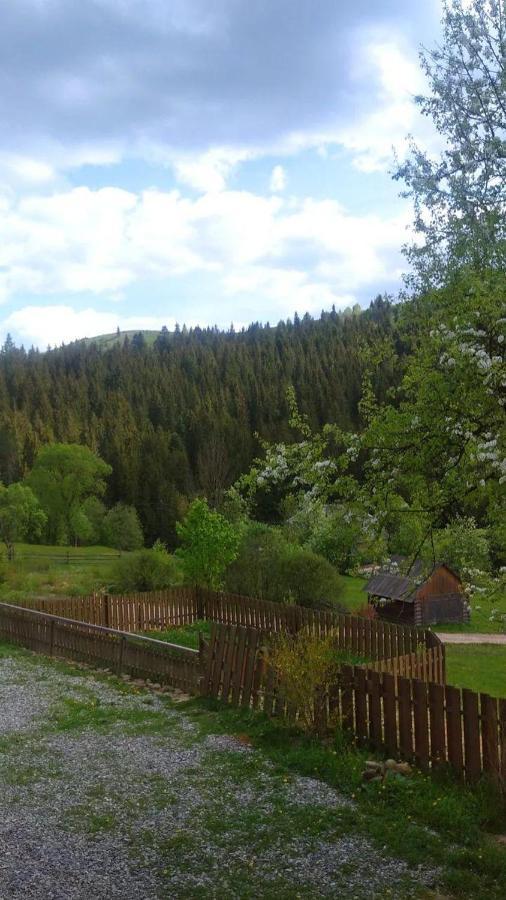 Villa Filiak Jablunytsja Exteriör bild