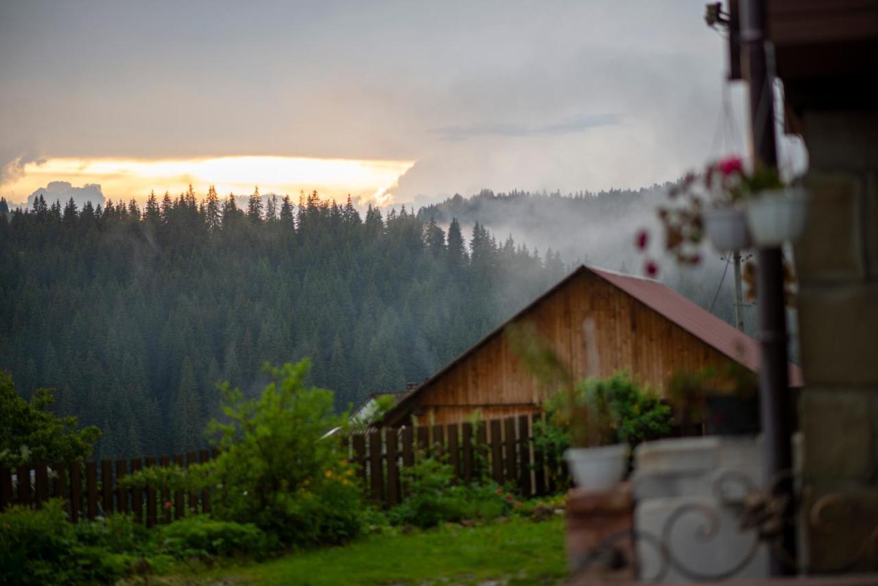 Villa Filiak Jablunytsja Exteriör bild