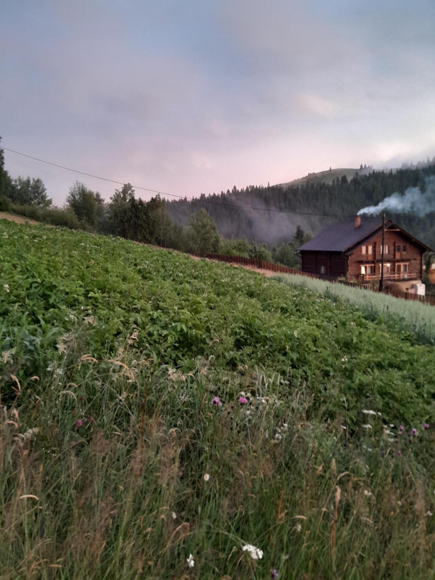 Villa Filiak Jablunytsja Exteriör bild