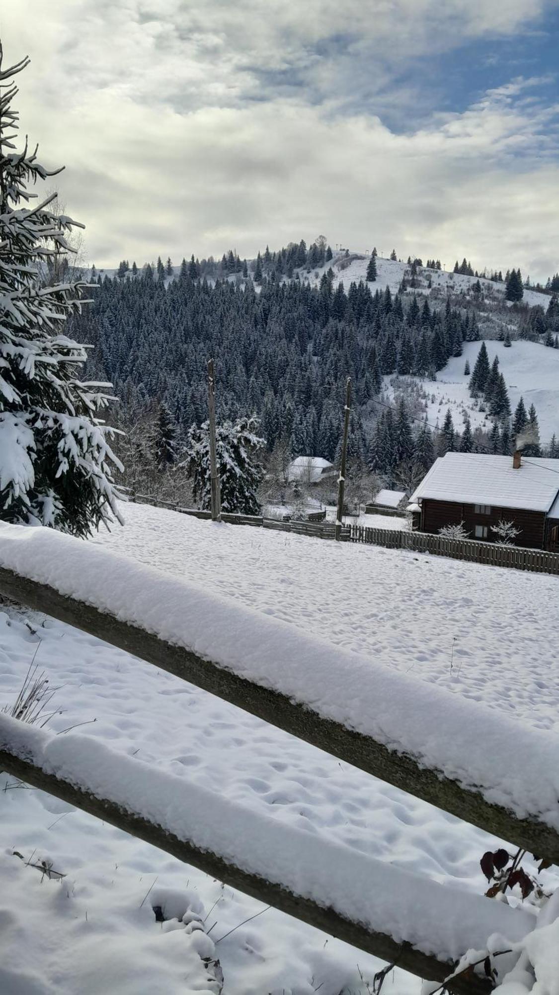 Villa Filiak Jablunytsja Exteriör bild